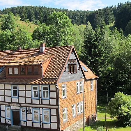 Hexenstieg House Lerbach Daire Osterode am Harz Dış mekan fotoğraf