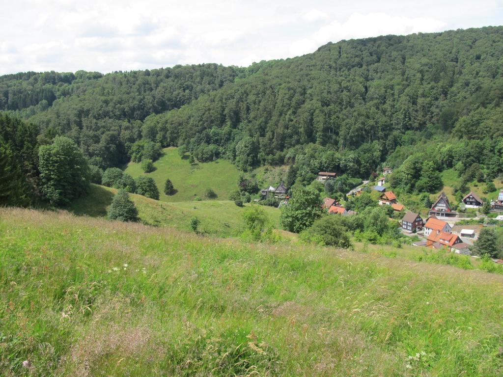 Hexenstieg House Lerbach Daire Osterode am Harz Dış mekan fotoğraf